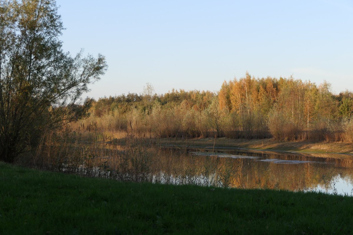 VeldHalle's tweet photo. #teamherfst Genieten! https://t.co/ea2AjELiBQ