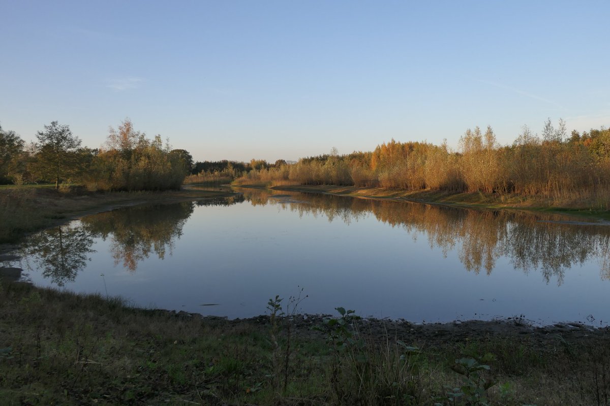 VeldHalle's tweet photo. #teamherfst Genieten! https://t.co/ea2AjELiBQ