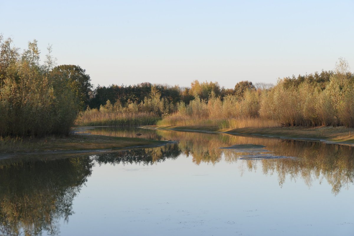 VeldHalle's tweet photo. #teamherfst Genieten! https://t.co/ea2AjELiBQ