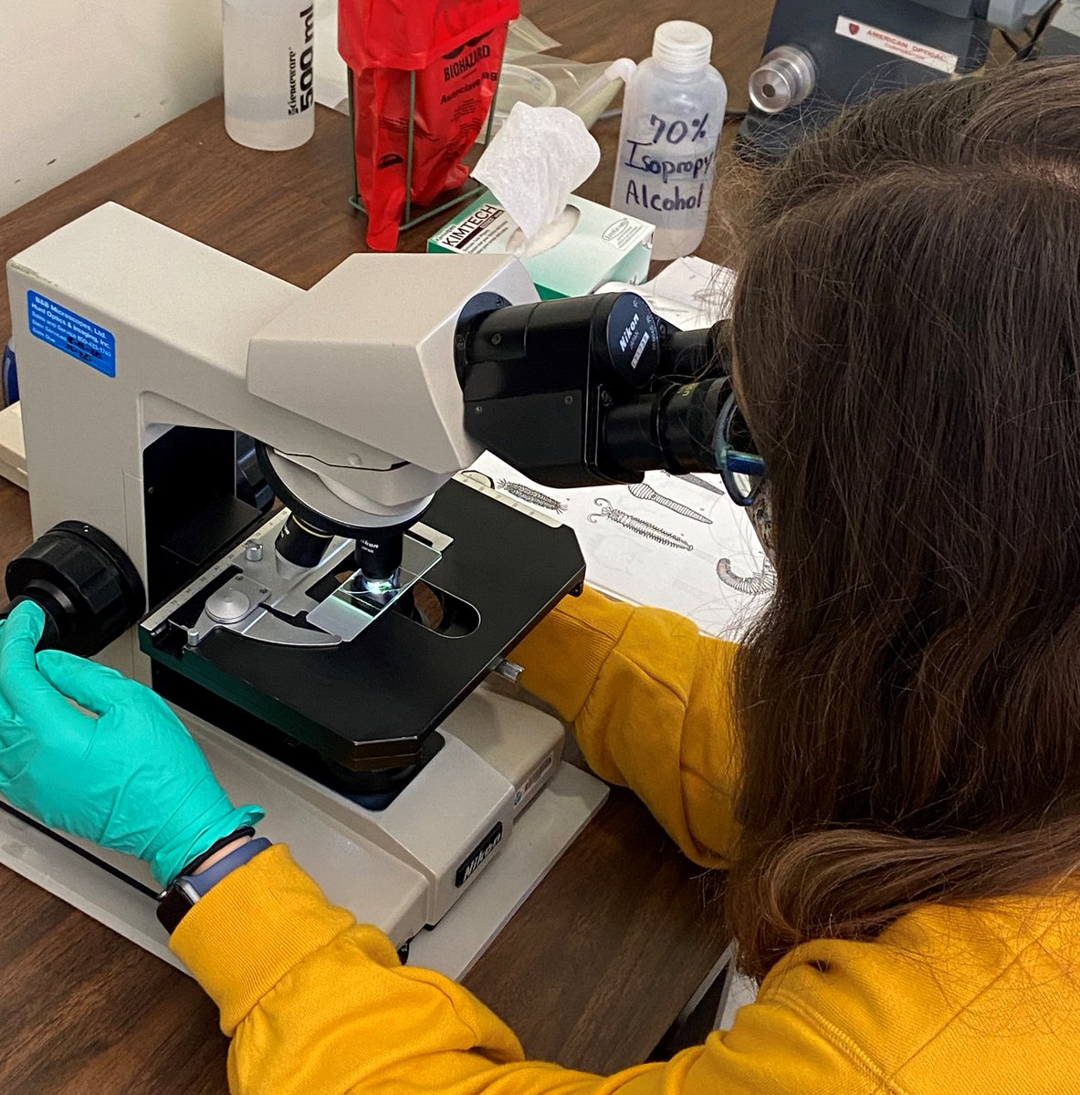 KaminScienceCtr's tweet photo. It's #NationalSTEMDay, a day to celebrate science, technology, engineering, and math! ๐ฌ๐ค๐งฎ
Pictured here: Photos from recent #TourYourFuture trips to @HealthAllegheny and Pennsylvania Institute of Aeronautics!
Learn more: https://t.co/b4JFOQba7B https://t.co/5sj3DAJtzQ