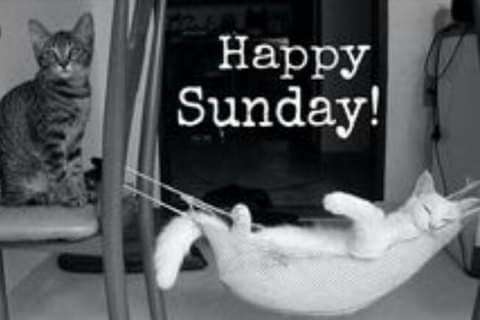 IzabelleCova's tweet photo. @saferprint @Wrix2 @h_craggs @ComesAnnemarie @TomZapiecki @Tetrametracall1 @SharonJ53436239 @laurelbrett11 @AuthorCharles @upursbetty @awlasky @DerekRKing2 @fredbranziny @sidmlm01 @impoliticpolit #TYM4  @saferprint
#HappySunday 
Today is an exciting day for us... :-* https://t.co/GnfBZhGLhB
