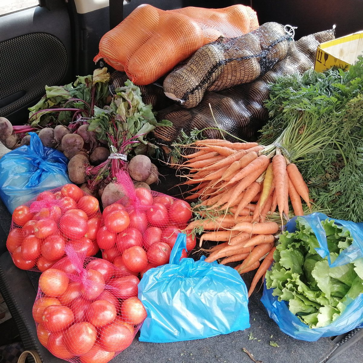 #lifestylefreshveg tweet media