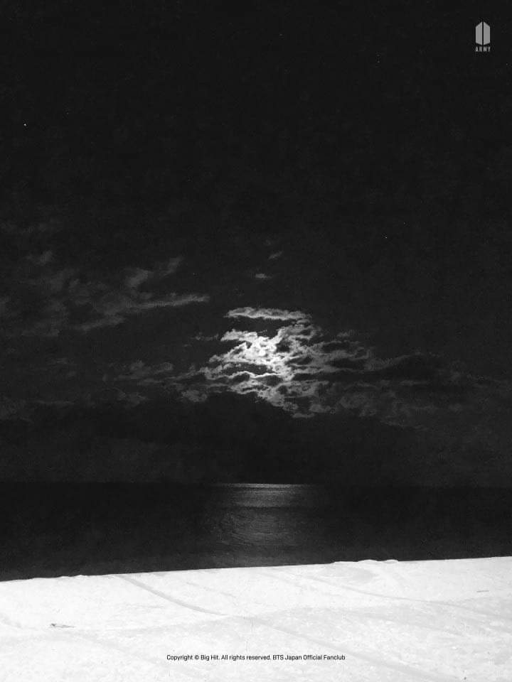 karog_95's tweet photo. Me encantaan 📷🐯.
#Taehyung #photobyv #BTSV ❤ https://t.co/PeoPf2Sfy8