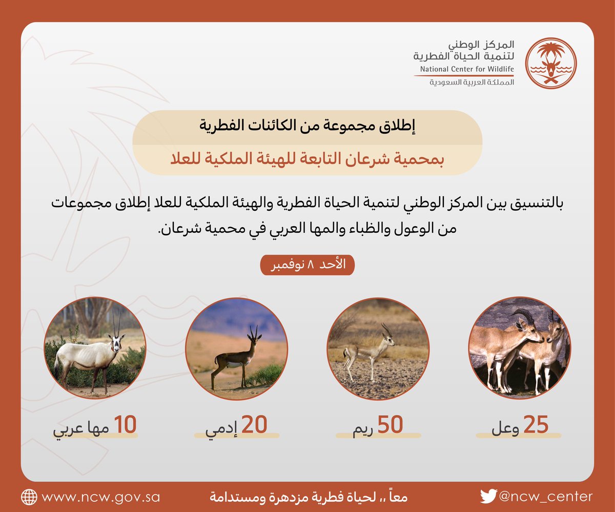 المركز الوطني لتنمية الحياة الفطرية tweet media