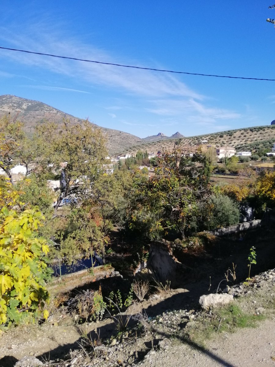 paulamolinajaen's tweet photo. #losvillares #mesientogood #fresquitoenlacara https://t.co/fs1GV3yNKY