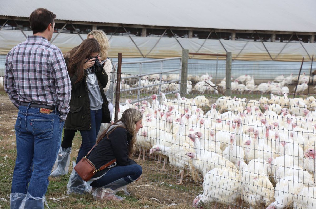 OhioEggFarmers's tweet image. When Ohio food blogger @TastesofLizzyT visited @BLTurkeys near Dayton, she learned all about how #farmers care for their #turkeys. Get her key takeaways 👉 bit.ly/2NrKkEp. #TryTurkey 🦃