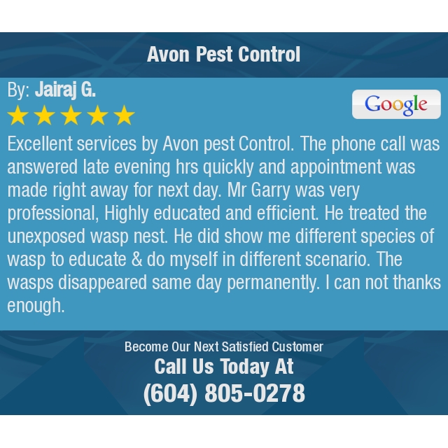 avonpestcontrol's tweet photo. 5 Star: Jairaj G. "Excellent services by Avon pest Control. The phone call was answered late evening hrs..." https://t.co/s7wsJoGrXs https://t.co/3EgDZfVZW3