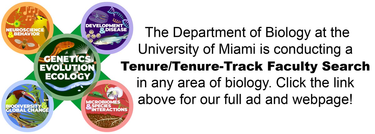 UM's Dept of Biology is hiring! Seeking T/TT candidates through a cluster hire to help us build out our areas of focus while providing mentorship and education to UM's diverse student body. Please share widely! bit.ly/36cu2st #BlackInSTEM #NativeInSTEM #DiversifySTEM