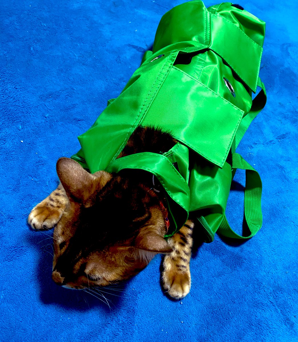 猫を無力化する袋」ことキャットグルーミングバッグが便利すぎ！爪切りが苦手な猫さんと、ケアする飼い主さんに届け！ - Togetter