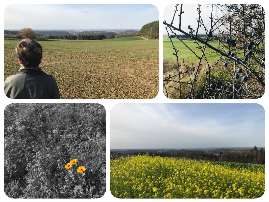 bodo1893's tweet photo. Mit dem @_frettchen unterwegs in der Heimat #heimatliebe #BadenWuerttemberg #heimat #nordschwarzwald #laendle #dasindwirdaheim #family #herbst https://t.co/zdD0LOmvku