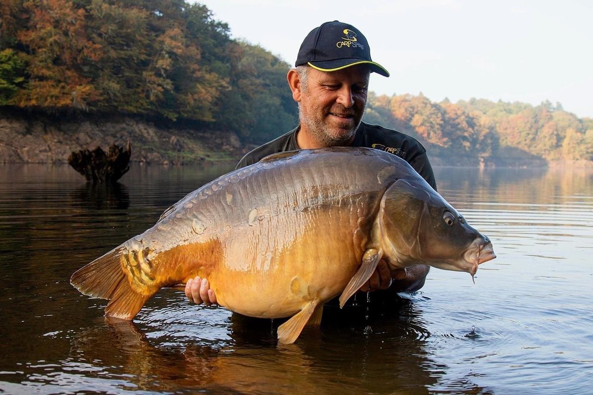 carp_gear's tweet photo. Monster in the mist! Carp Spirit's Ludovic Gourlin with a fine French mirror caught on a @DynamiteBaits CompleX-T, Source combo..
#TheSource #ComplexT #TheCARPbible #Carp #CarpFishing #Fishing https://t.co/O7u4xvMuPq