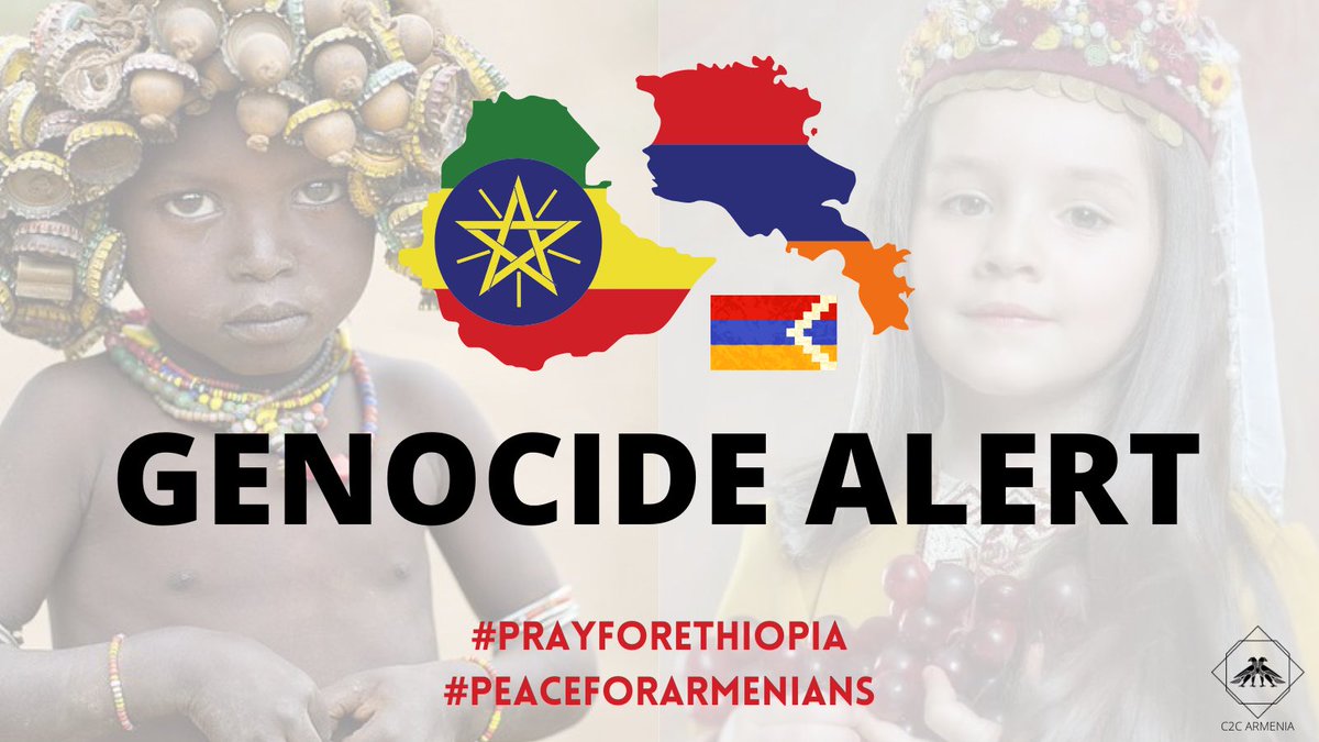 ETHDefenders's tweet photo. #Armenians/#Artsakh are being massacred by Turkey &amp; Azerbaijan

Ethiopians are being massacred by Abiy Ahmed Ali regime #Ethiopia

🇪🇹#PeaceForEthiopia #StopAmharaGenocide 
🇦🇲#PeaceForAmenians
#RecognizeArtsakh 
#UN #Europe @genocide_watch #hrw @c2cArmenia @KimKardashian #Armenia https://t.co/8LTJZ2UB6q
