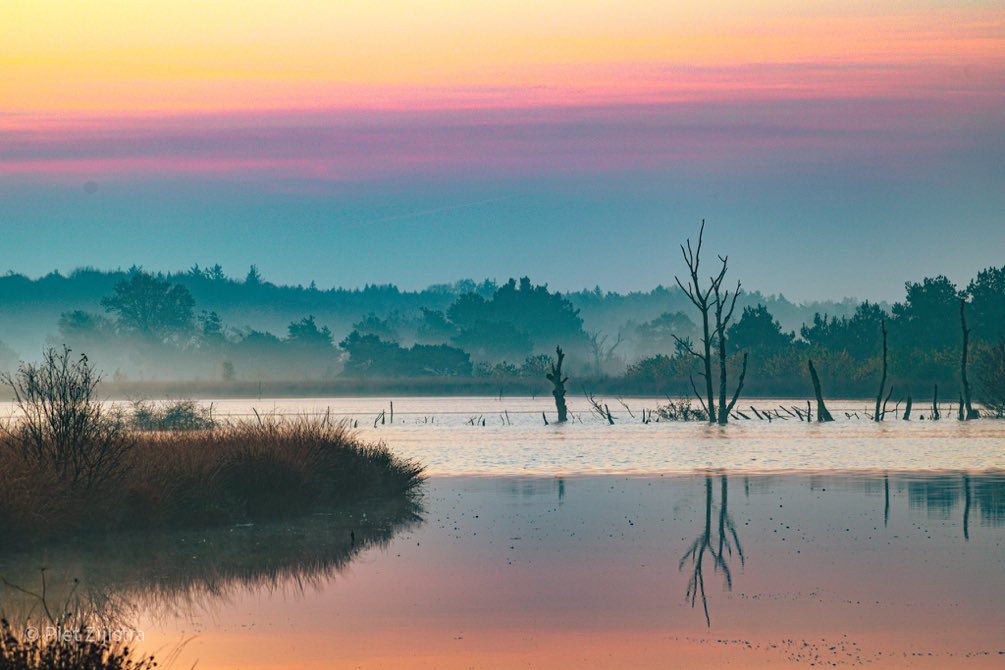 Nederland op zijn mooist: Fochteloërveen
📷 @Piet_Zijlstra