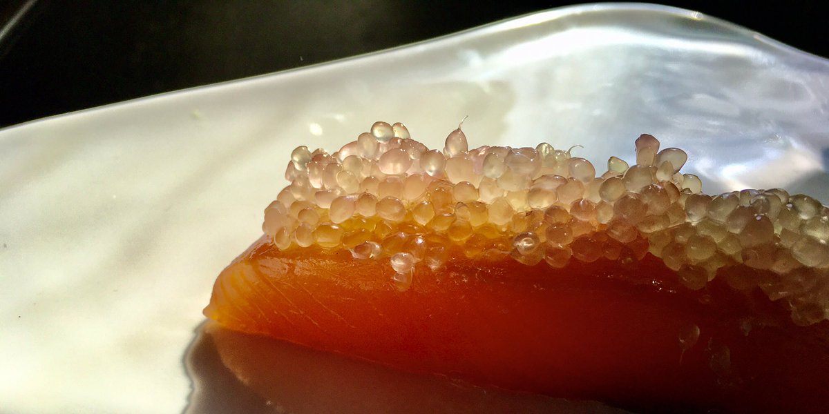 Budhashand's tweet photo. Tengo la suerte de haber descubierto las cualidades del caviar cítrico. No es fácil de encontrar, pero aquí, si puedes. Una pieza pesa entre 15 y 20g.  y se le saca mucho partido, porque es intenso. Hoy lo he probado sobre salmón ahumado en tacos. https://t.co/U4ldXT90uD https://t.co/8OPpZRNuIe