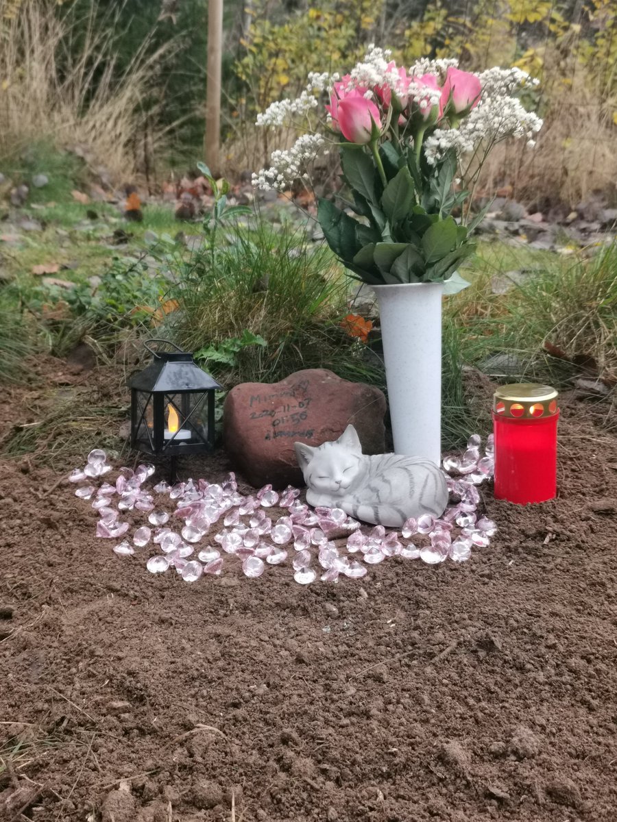 DarkBlueCow tweet media