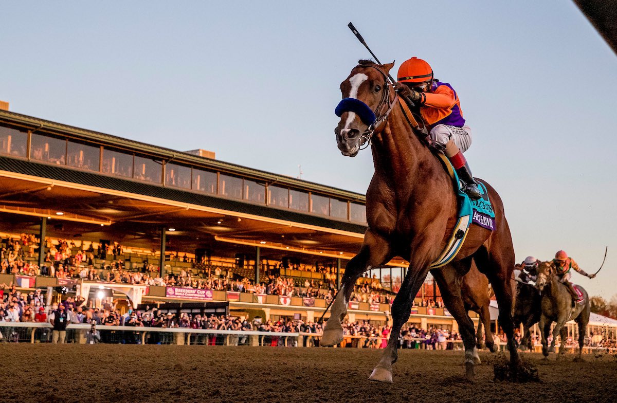 MyRacehorse's tweet photo. When you wake up and realize it’s not a dream it’s REAL. 😎🤩🏆🏇🏻

We WON the @BreedersCup Classic!!! 

#MyAuthenticBC 

📸 @EclipseSports https://t.co/CFrFSsXrLa
