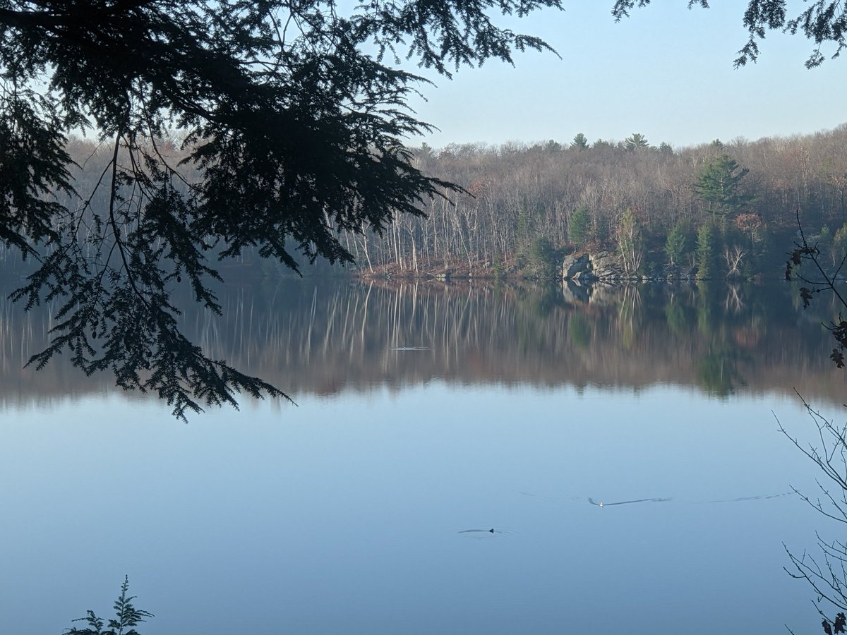 Bill Kennedy, CPA CA tweet media