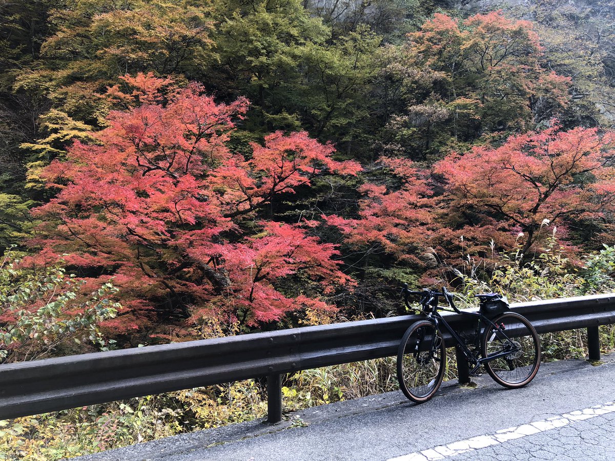 awesome036's tweet photo. 週末のチャリ活
#sutraltd
#グラベルロード https://t.co/AU1LiMkxCr