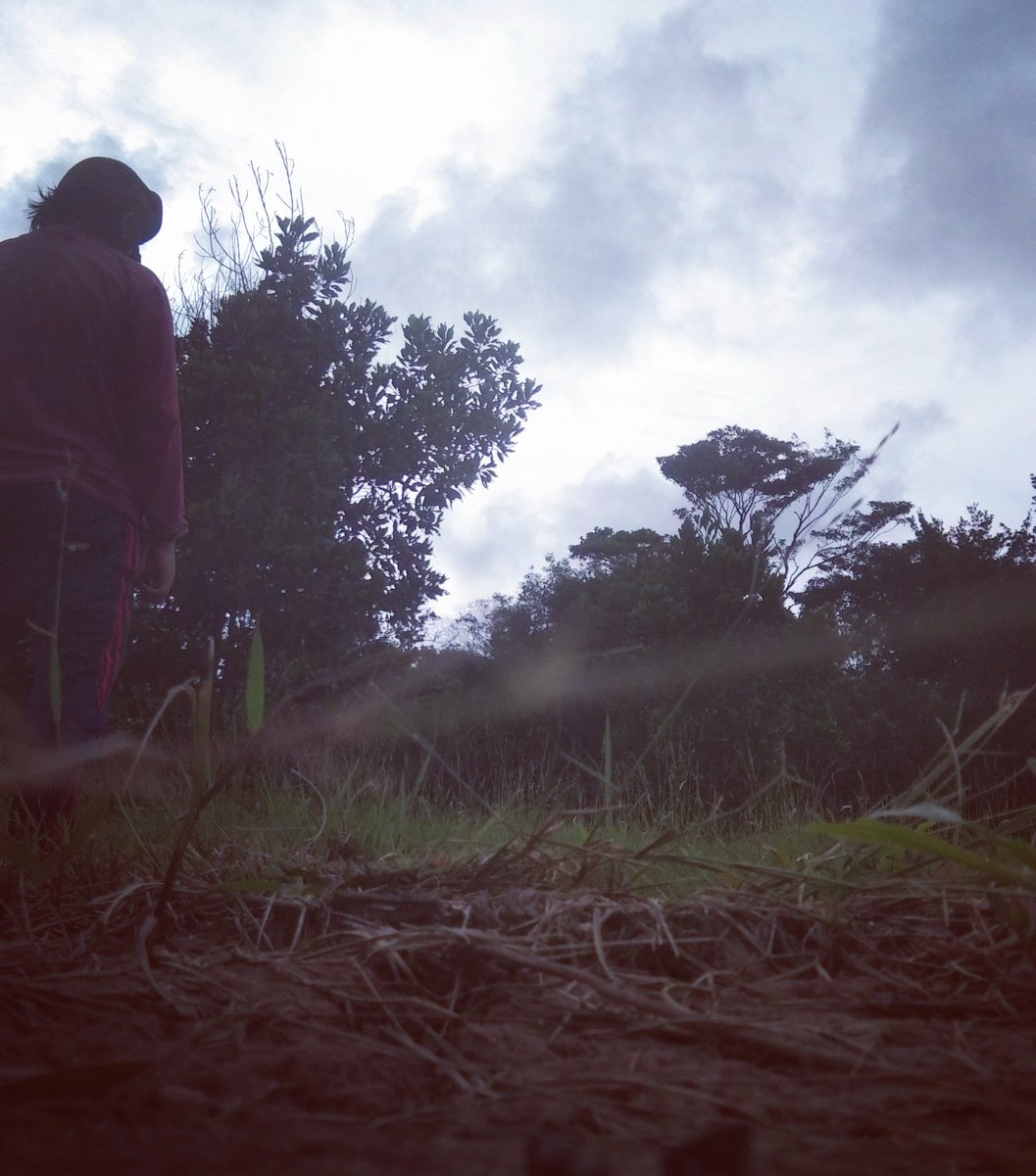 Samuderabiru5's tweet photo. Ketika hari mulai senja

#Senja 
#bersamasamuderabiru https://t.co/54l5PpZbCz