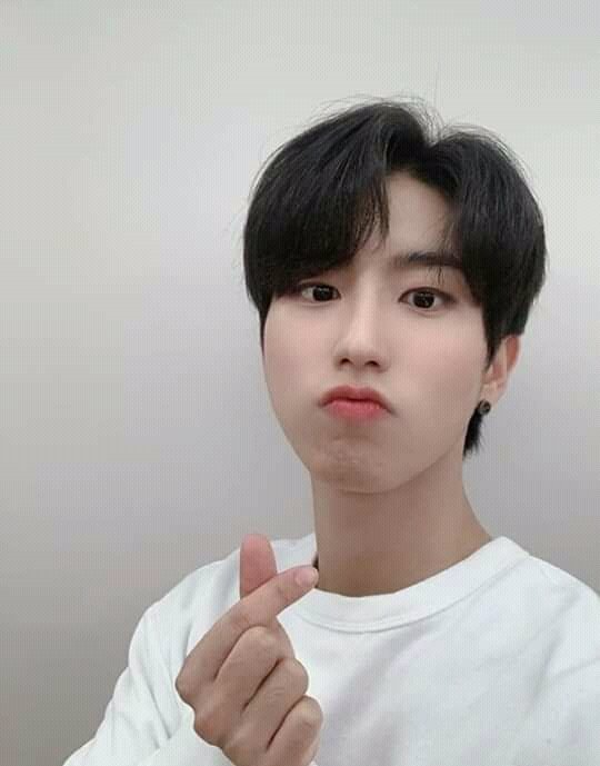 NikolV08146259's tweet photo. No les pasa que están tristes y de repente Jisung voice Jisung vocal king les alegra la vida? Porque a mi si ❤ https://t.co/d2eFoApyGq