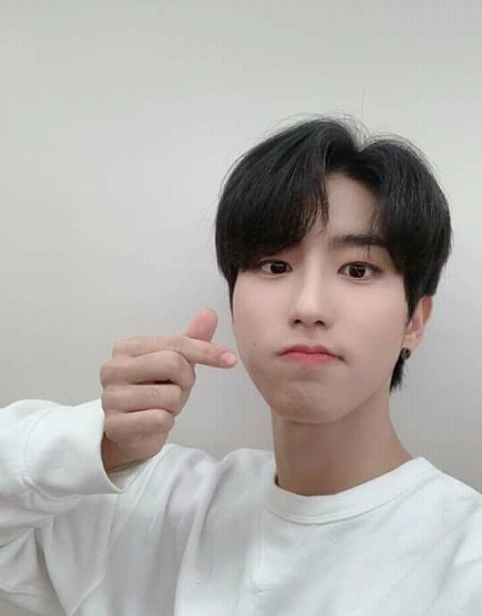 NikolV08146259's tweet photo. No les pasa que están tristes y de repente Jisung voice Jisung vocal king les alegra la vida? Porque a mi si ❤ https://t.co/d2eFoApyGq