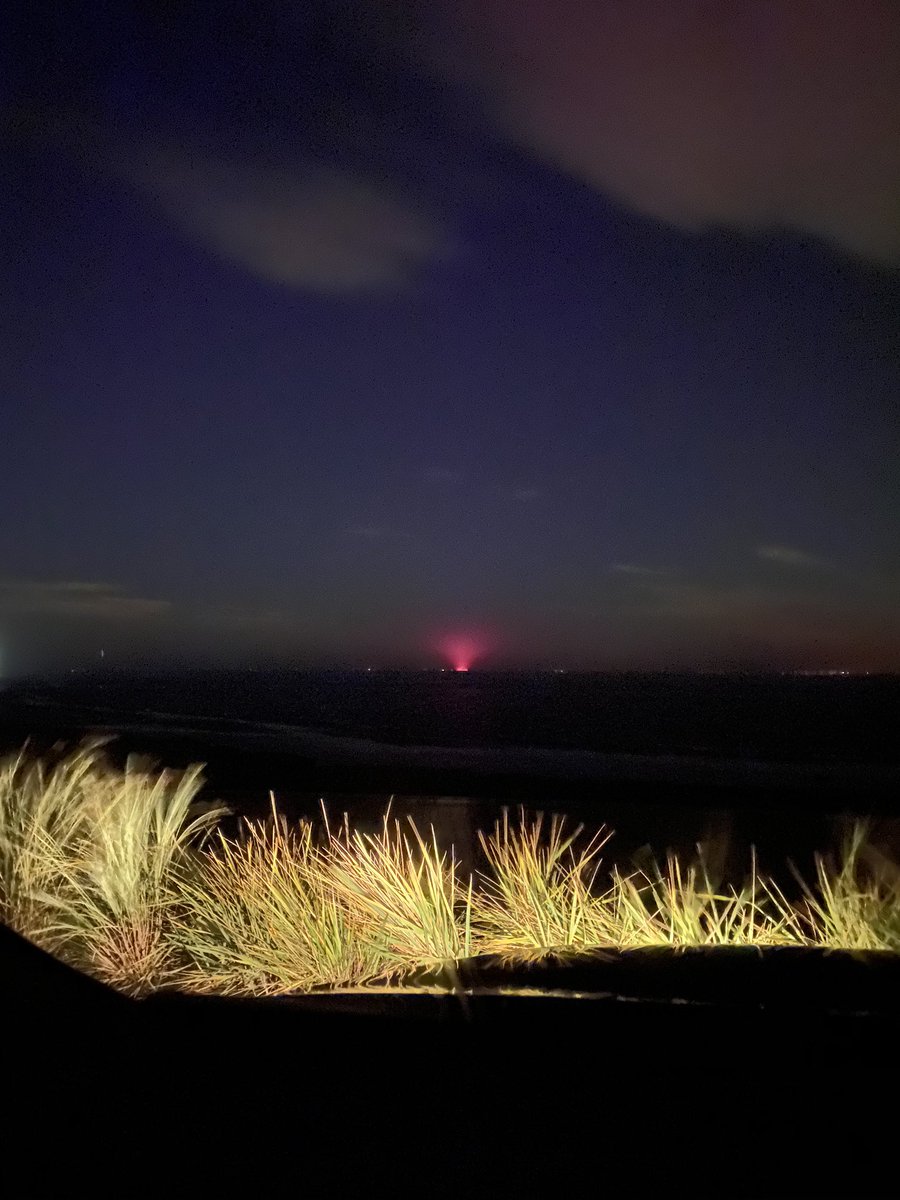 Amanda Bate tweet media