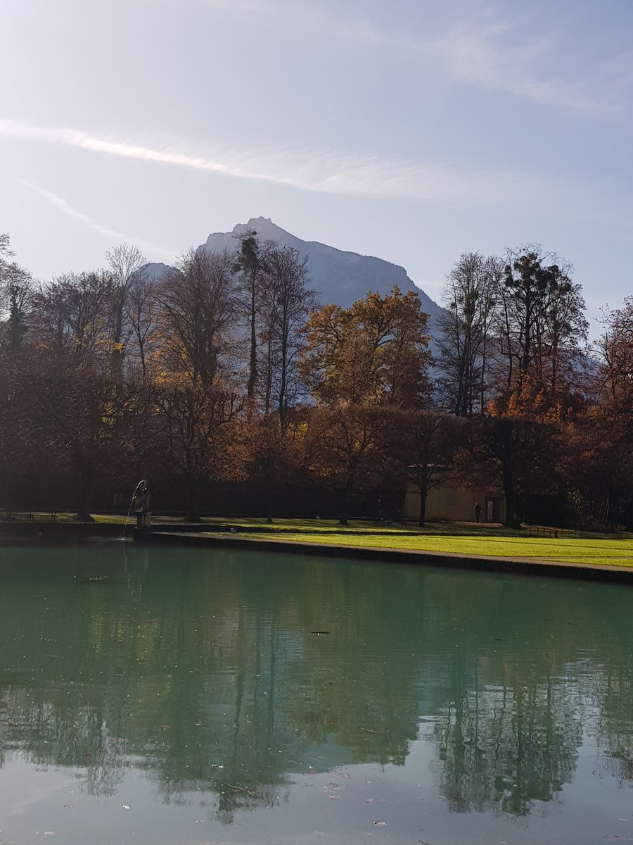 UlrikeTanzer2's tweet photo. Sonntag in #Salzburg - Heribert Metzger an einer der fünf #Orgeln im #Dom, #Hellbrunn, #HellbrunnerAllee https://t.co/ILwWRsiu8T