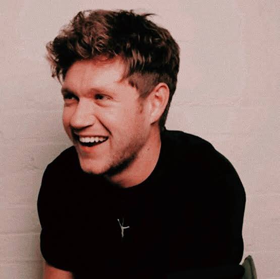 tom holland and niall horan as each other: a thread