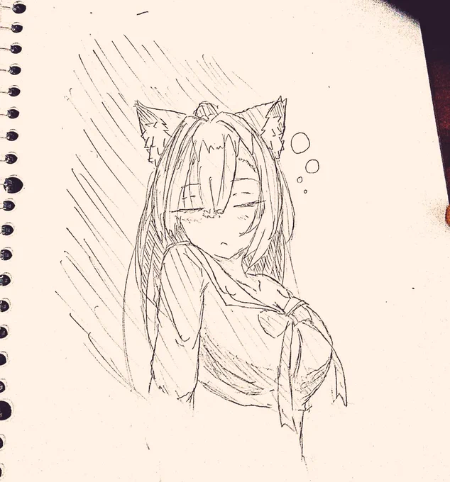 #アズールレーン
すやりねこ 