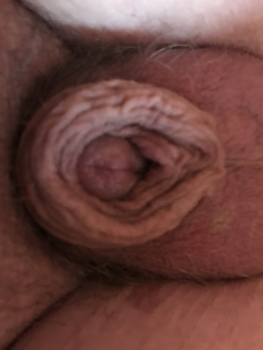 SarahJaneGill7's tweet photo. Because you are a cheating useless dickless sissy faggot and you will be exposed permanently and ruined everyone will know you suck cock and swallow https://t.co/4HF49YjGb7