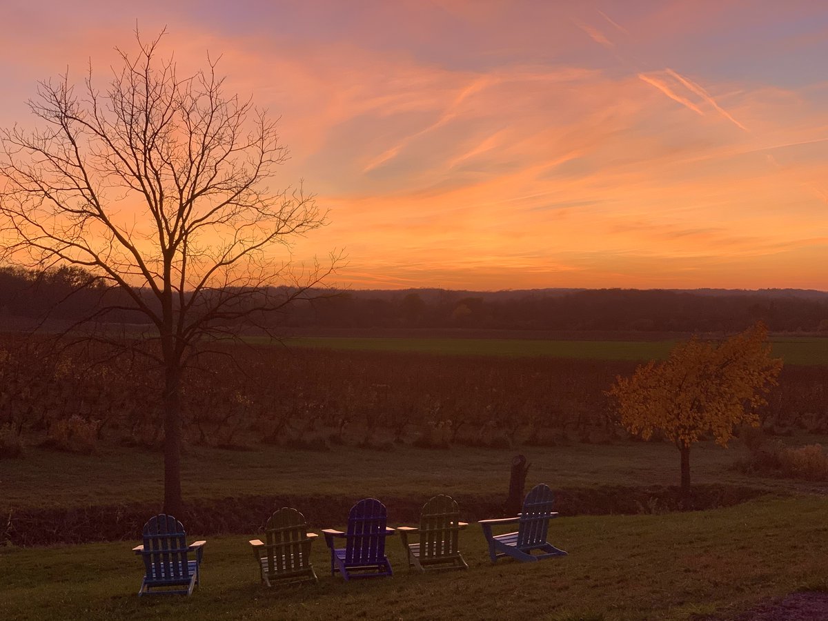 ArrowheadSpring's tweet image. Yesterday was a spectacular day in WNY, with temps in the upper 60's and a beautiful sunset.   Today we are expecting more of the same!  Stop by for a glass of wine or local craft beer - indoors or out, it's going to be a great day!