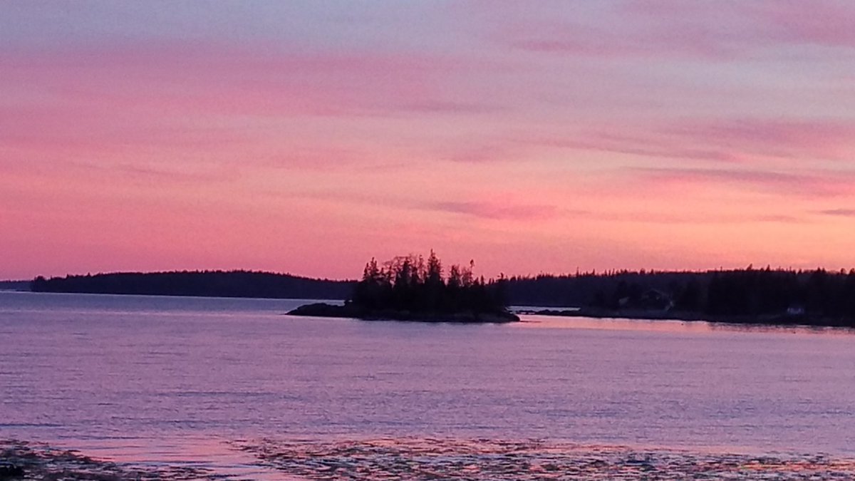 ByCLAlden's tweet photo. @StephenKing A beautiful and fitting end to a momentous day.  I have hope that this blend of reds and blues is a harbinger for a more blended and cohesive country going forward. #DemocracyWins #BidenHarris2020 #HistoricalVictory #Maine https://t.co/kVxBe1gk6c