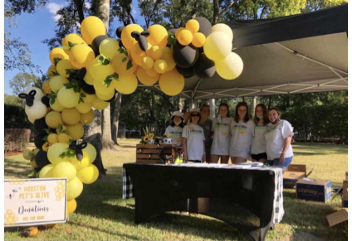nclbrightstar's tweet photo. What a glorious day it was to prepare for #mothersaughter tea! Our pickup stations were bee-utiful and we also were able to make our donations to @petsalive https://t.co/xcpH3M3wlf