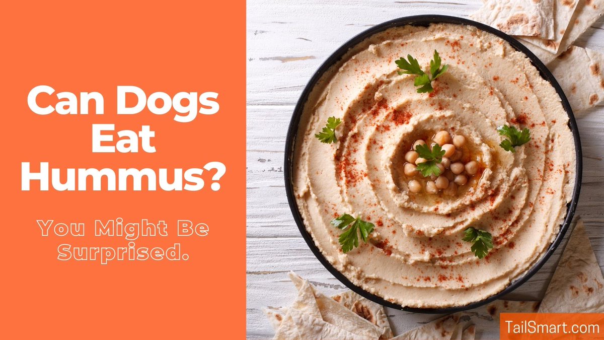 tailsmart's tweet photo. Can Dogs Eat Hummus? You Might Be Surprised. #dog #dogs #doghealth

https://t.co/ZDSWjb2A9V https://t.co/jUr25X2o8J