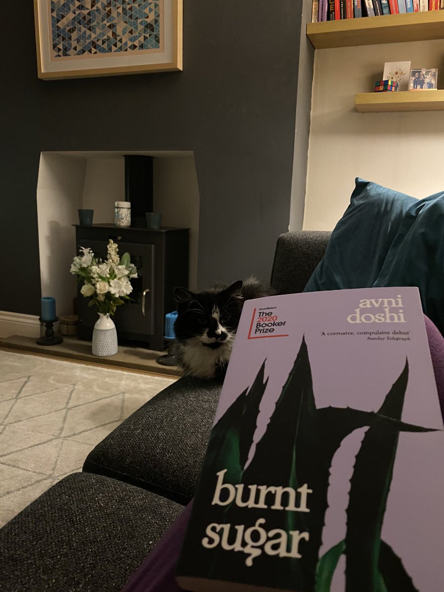 Book 38: Burnt Sugar - Avni Doshi 1/2 Struggled to get on with the flowery language here, although settled into it on longer reading sessions. A decent tale of a fraught Mother- daughter relationship
