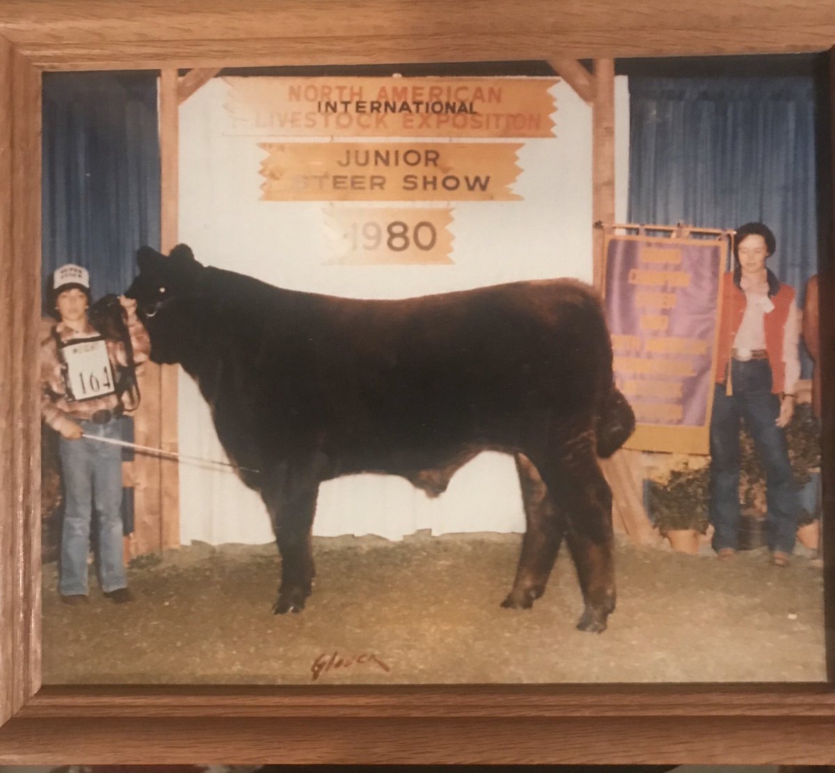 KCause7's tweet photo. Hard to believe 40 years ago Dad and I headed down to Louisville with one steer like we did each fall,  little did we know it would be “The Miracle on Green Shavings” in 1980.  Great memory and tribute to my Dad who loves nothing more than going to a livestock show. https://t.co/9ouBwqwAQo