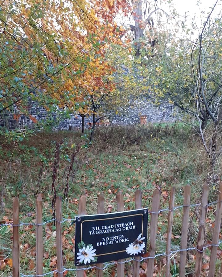 kkcastleOPW's tweet photo. Virtual Treasure Hunt 🧐🕵️‍♀️
Where would you find this?
#virtualtreasurehunt #Sunday #Irelandancienteast #longingforireland #fillyourheartwithireland #visitkilkenny #opw #sundayfunday #LovingKilkenn #nature https://t.co/CKufe5Xlnd