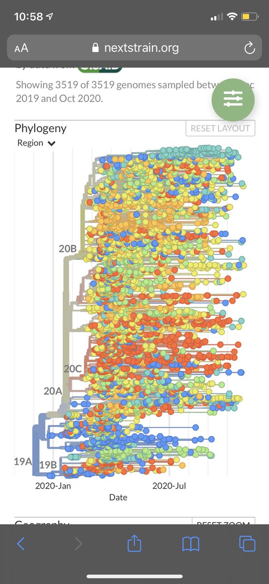 bioinfo_wang's tweet photo. Genetic diversity of the COVID-19 virus from the first wave (Jan-Oct). We are just beginning to understand how the different strains work. Even though you may not be risking your own personal health by being exposed to the virus, you may inadvertently generate a dangerous strain https://t.co/n8Vy4VigTd