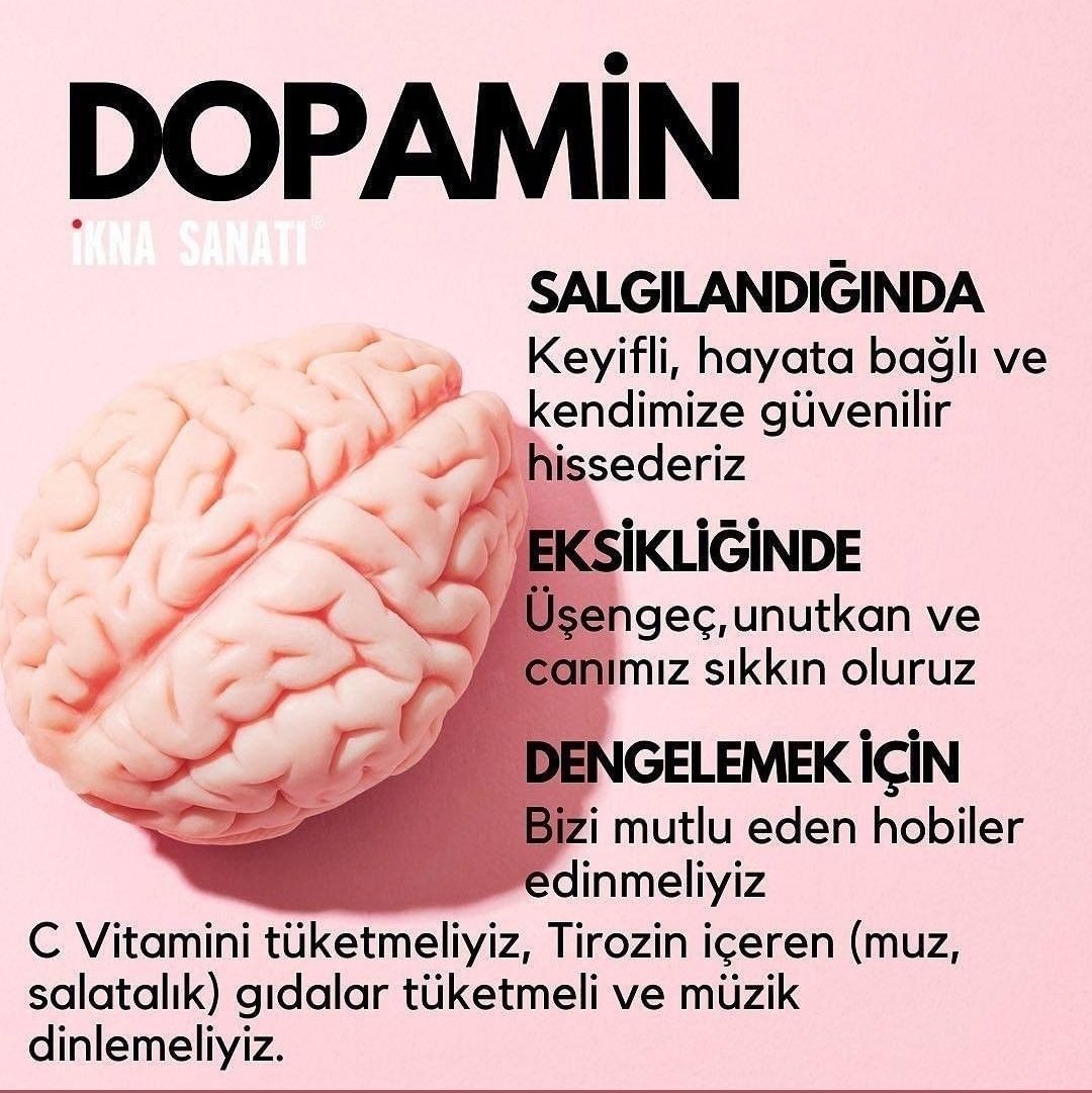 TahVed's tweet photo. Her şey hormonalmiş gençler. Alın size faydalı bilgiler fırlatıyorum. 😇 https://t.co/o7CtC8yNdq