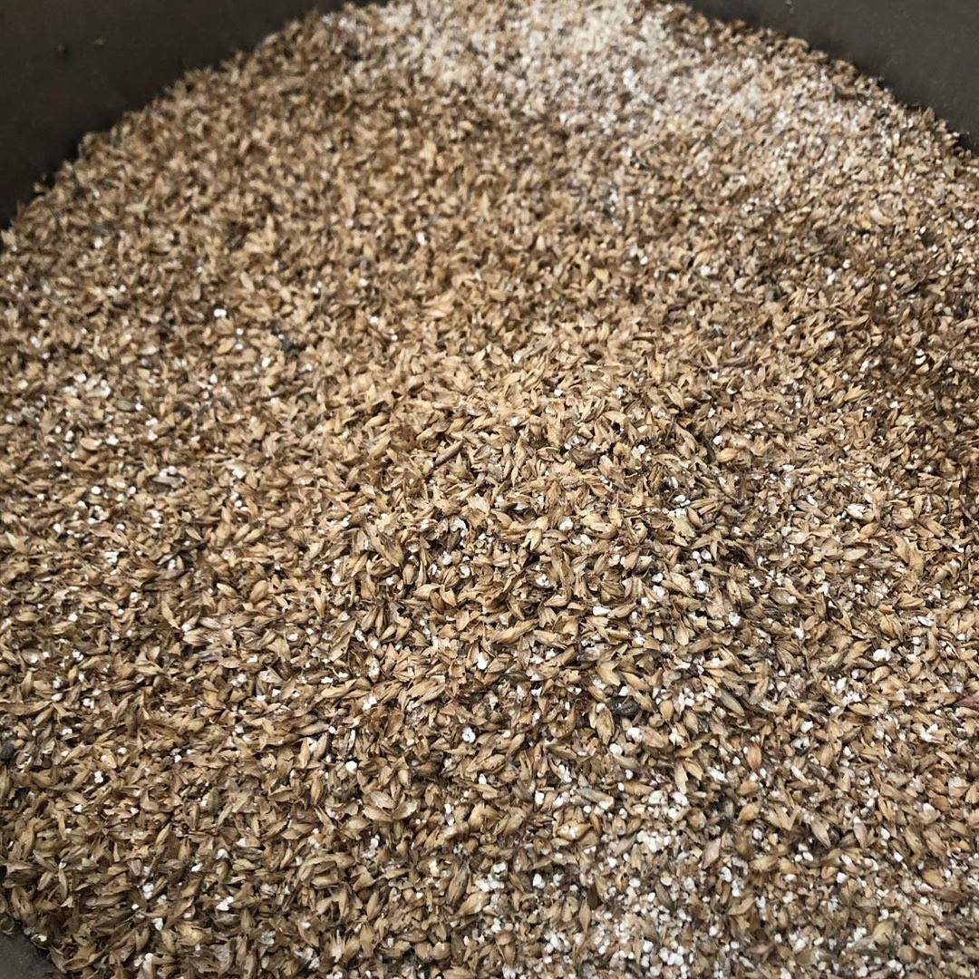 MashDown Brewery tweet media