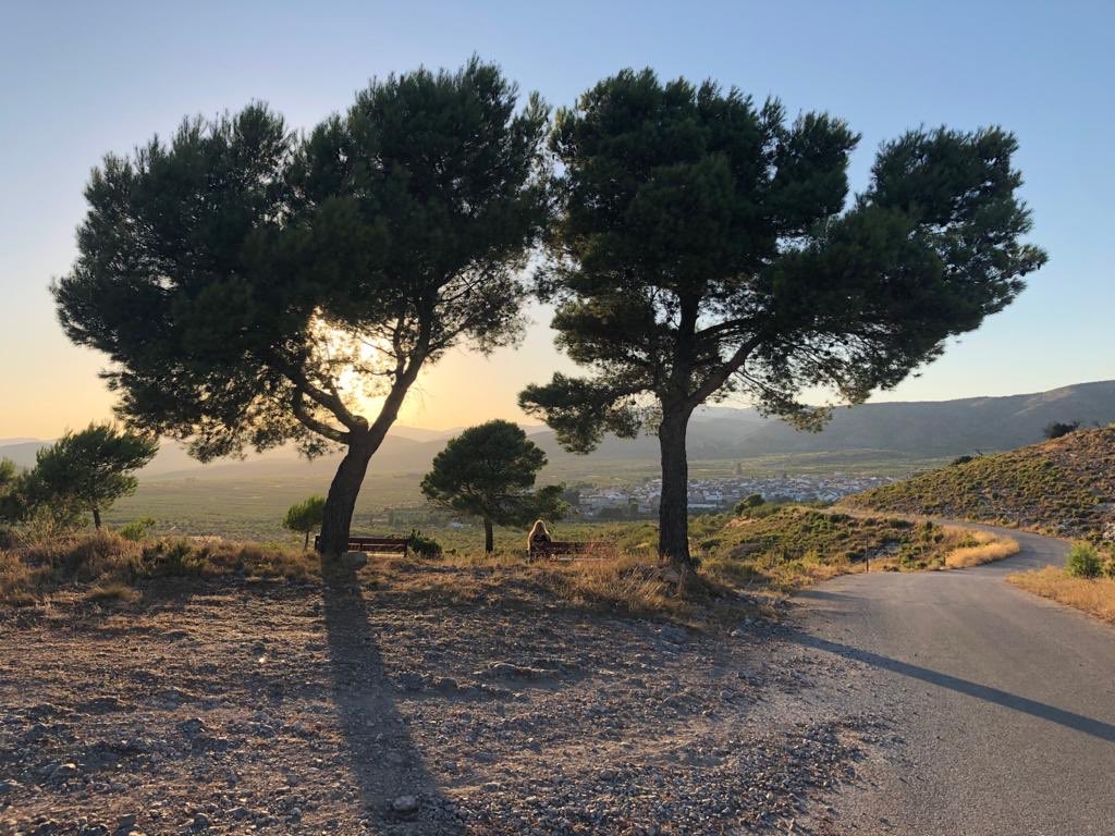 ⭐️Otro mágico atardecer, con Alcublas al fondo, desde el Codadillo.⭐️ Foto de Miguel Giménez Cerverón.  #AlcublasTurismo #Alcublas #AyuntamientoDeAlcublas #venyreencuéntrate #LaSerrania #ValenciaTurisme #TurismoRuralValencia