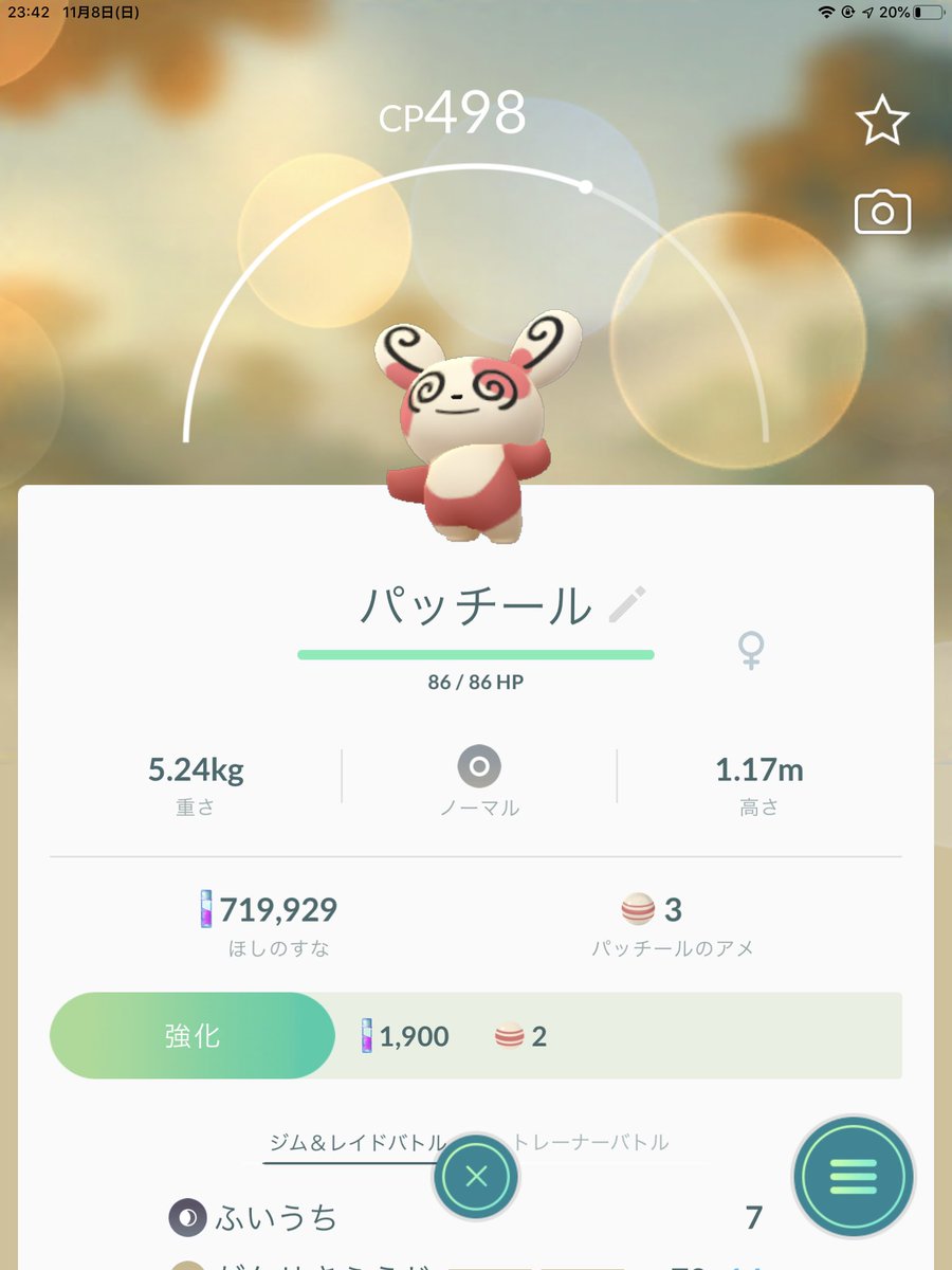 Tod パッチール 初めて出てきた 動きが可愛い ポケモンgo パッチール