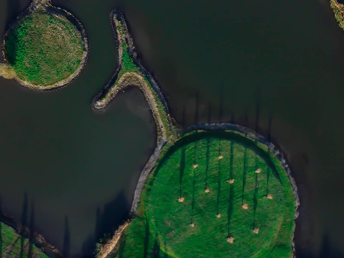 theracatEU's tweet photo. (1/3) Our #THERACAT fellow @arxmanos is the author of this amazing picture of the #Dutchlandscape, taken with a #drone . From the THERACAT perspective: a #cancercell (bottom), a #cellreceptor (middle tripod) and a #catalyticnanoparticle (upper left). #sciencephoto. https://t.co/WqgZNCf6Mt