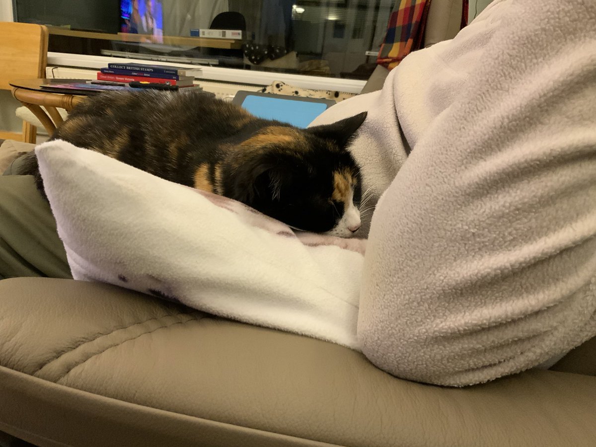Dad staff is very comfortable for snoozing on.