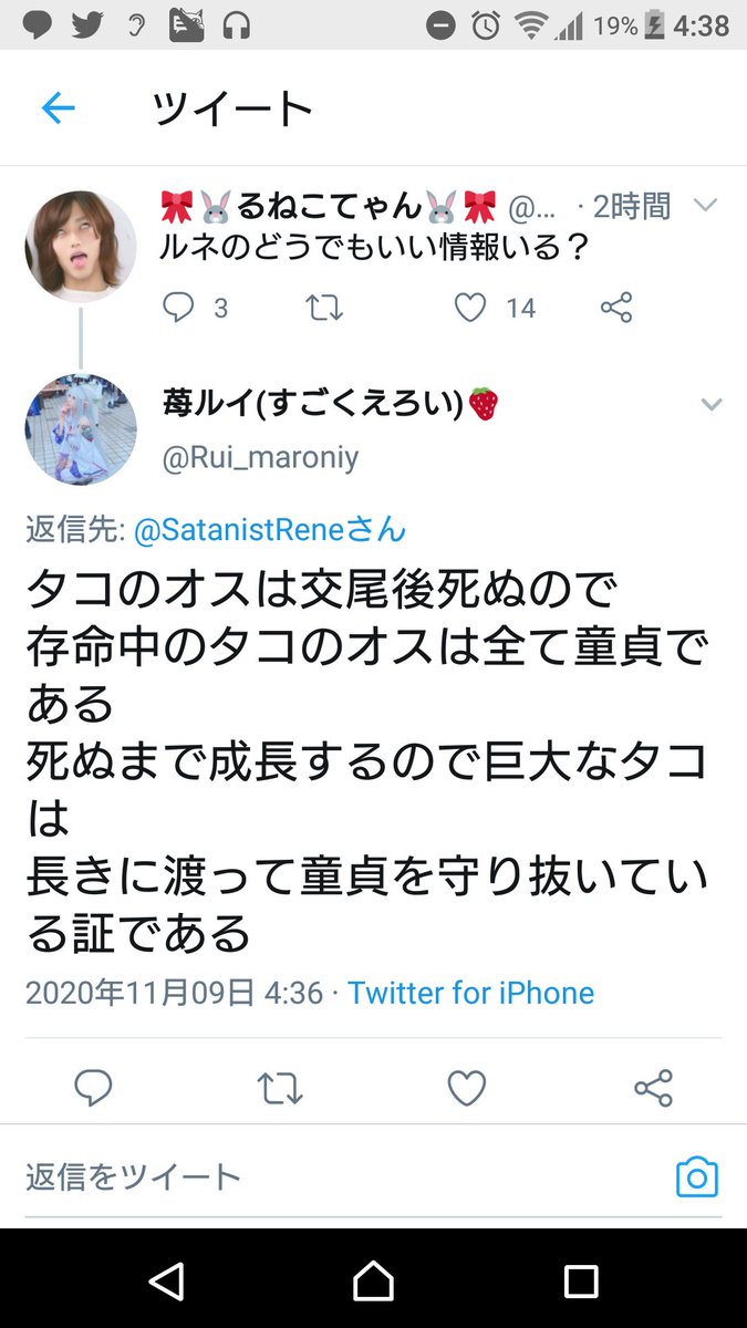 るねこてゃん 早急に病院連れて行きたい