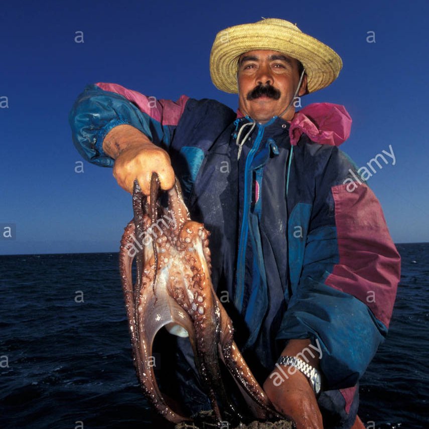 5) Ancestral fishing techniques are still practicedAncestral fishing techniques have been used for centuries and still are in many places.For example clay pots are still used to trap octopus. In Kerkennah, traps made of palm tree leaves are set in shallow waters to trap fish