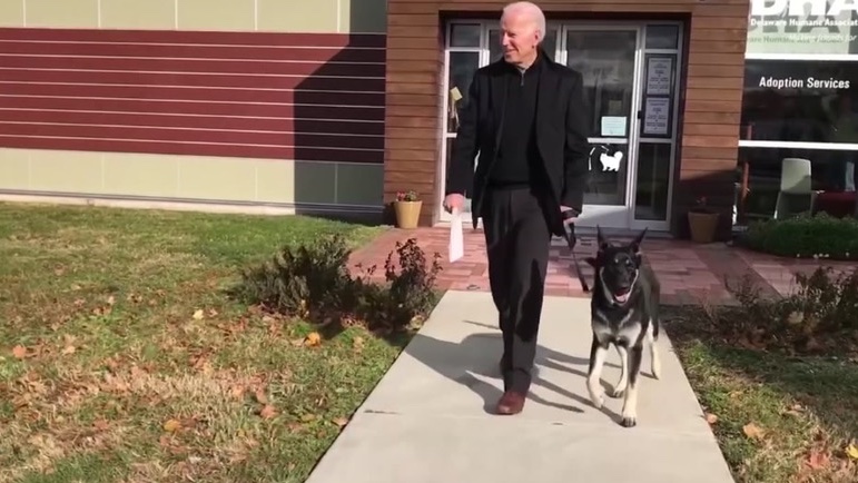 After 4 years with NO DOGS in the WH-Welcome Champ &amp; Major Biden! FUN FACTS: tRUMP is the 1st Prez to have NO PETS whatsoever since James K. Polk in 1845-Both were one-term presidents.
Also: In 1797 John Adams had dogs named Juno, Satan &amp; MARK(!) He too, served only one term.🇺🇸🐶