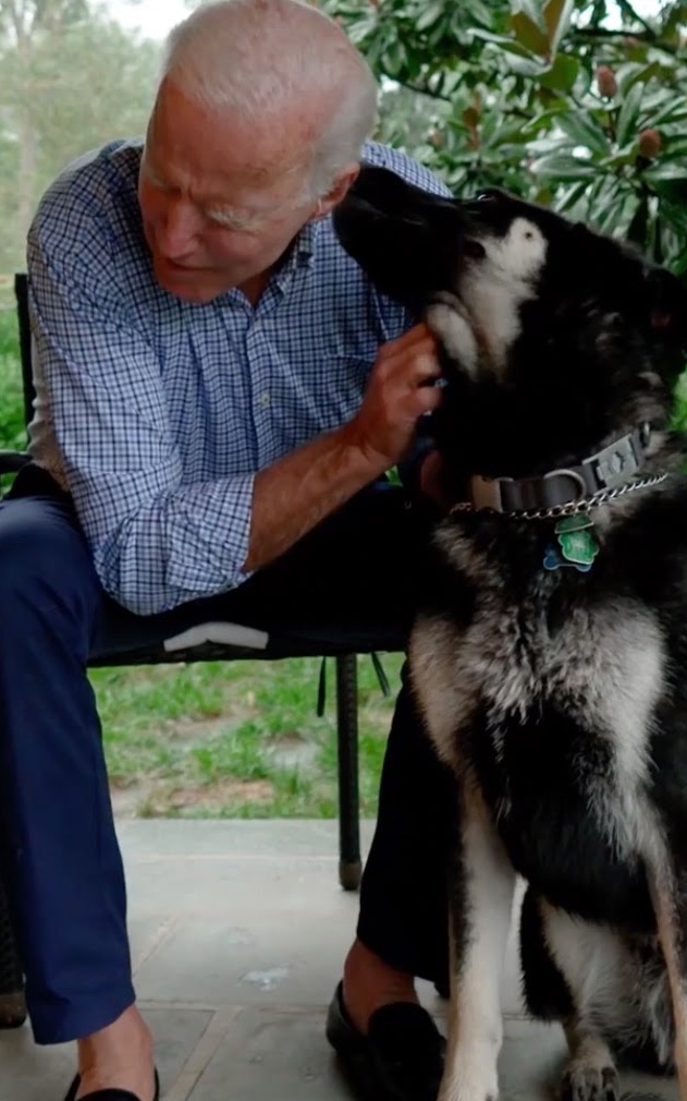 MarkHamill's tweet photo. After 4 years with NO DOGS in the WH-Welcome Champ &amp; Major Biden! FUN FACTS: tRUMP is the 1st Prez to have NO PETS whatsoever since James K. Polk in 1845-Both were one-term presidents.
Also: In 1797 John Adams had dogs named Juno, Satan &amp; MARK(!) He too, served only one term.🇺🇸🐶 https://t.co/PSZD9Q8bH1