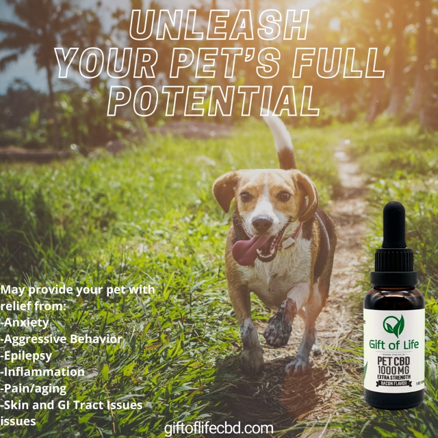giftoflifecbd's tweet photo. Do you know the benefits of Pet CBD?
#Giftoflife Premium CBD
#CBD #CBDoil #CBDcream #CBDedibles #CBDgummies #FullSpectrumCBDl #CBDproducts #pet #petcbd #vegan #natural #organic #CBDLife #CBDmovement #CBDmodel #CBDheals #CBDhealth #CBDwellness #CBDinfo https://t.co/WV9jF5asnQ