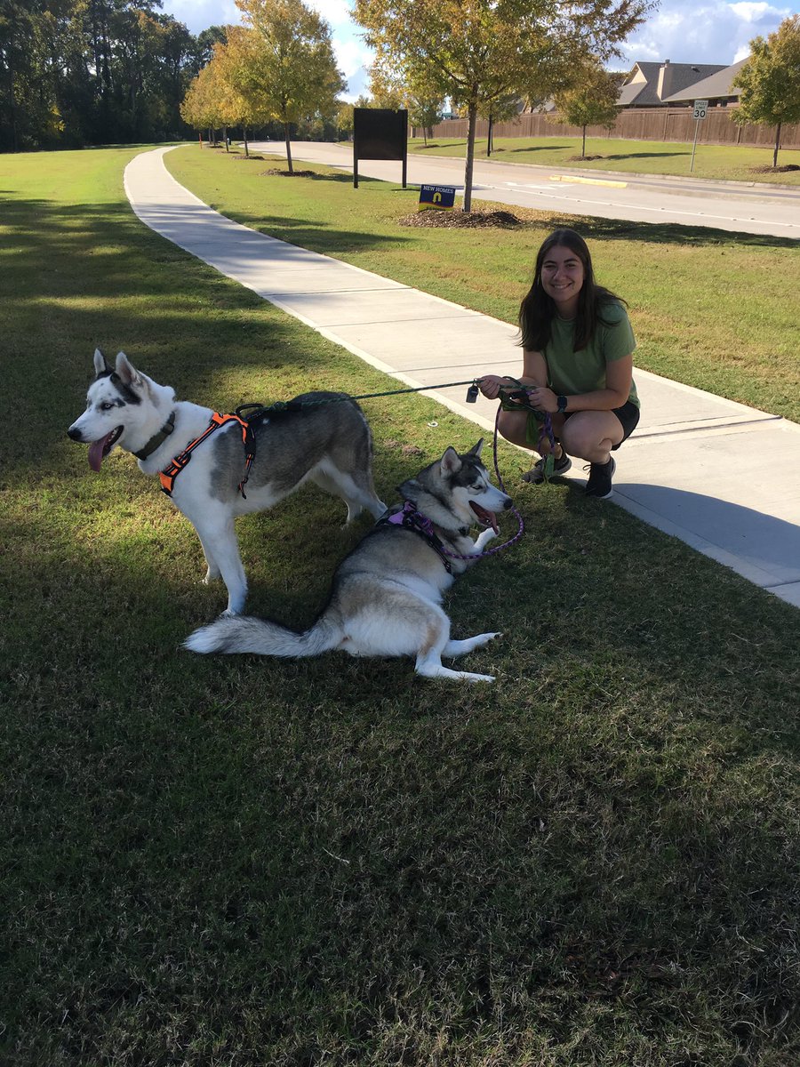 MsShirey_SWE's tweet photo. The pups and I loved our walk today!#SWExcellence #SWEselfcare #TeamBlue https://t.co/CUMb5fLPD6